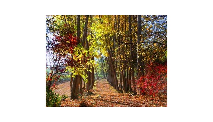 Postales Hotel Boutique Valle Del Uco poza 1