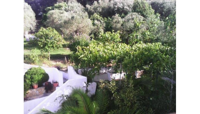 Poza pentru Hotel Dina's Rooms 3366-1552953126 Hotel Dina's Rooms poza 3
