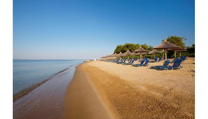 Hotel Blue Dolphin poza 13