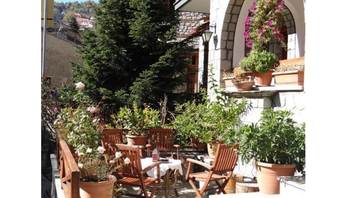 Hotel Apollon Metsovo poza 7