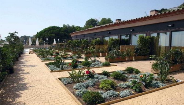 Hotel Pierre & Vacances Cala Cristal Beach Club poza 4
