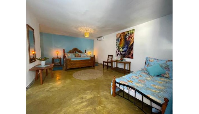 Oleza Boutique Hotel poza 7