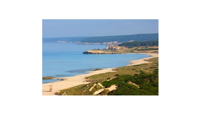 Hotel Apartamentos Valentin Son Bou poza 5