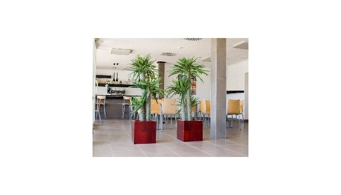 Hotel Playa Grande poza 10