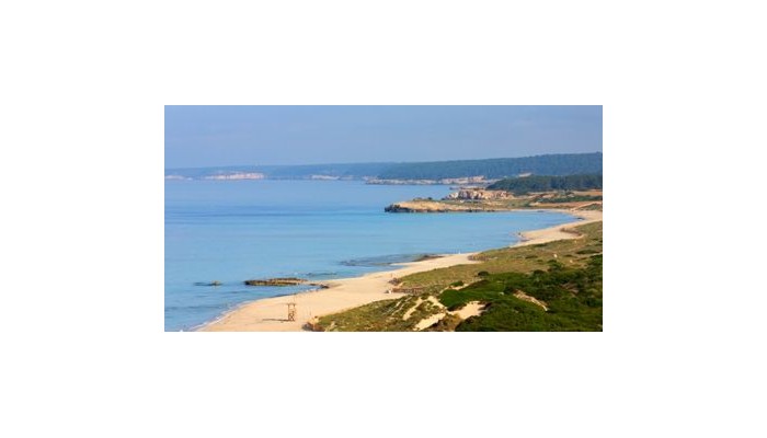 Hotel Valentin Son Bou poza 5