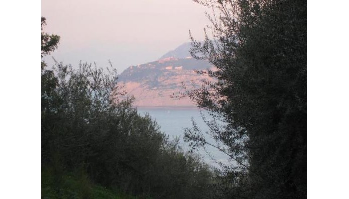 Hotel Central Park poza 3