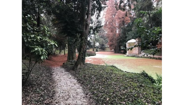 Villa Condulmer poza 34