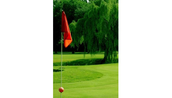 Villa Condulmer poza 31