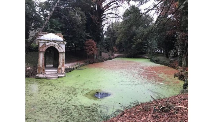 Villa Condulmer poza 32