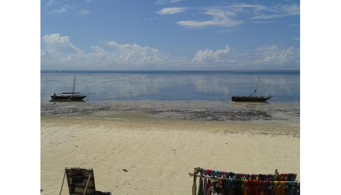 Plaza Beach Hotel poza 13