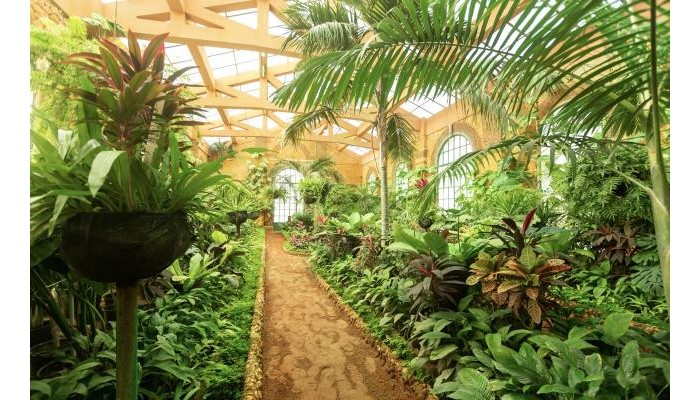 Hotel Rixos Montaza Alexandria (Adults Only +18) poza 31