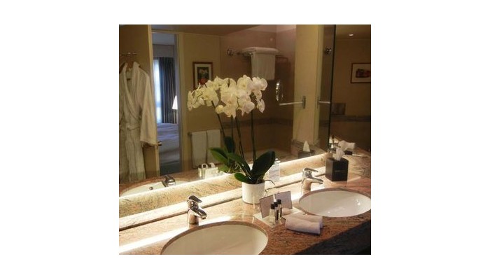 Hotel Royal Plaza poza 11