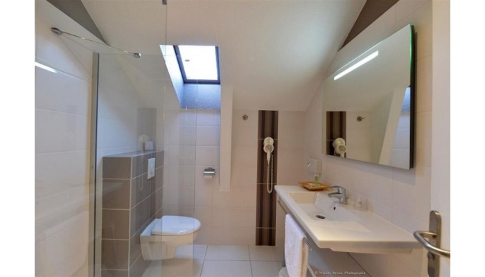 Hotel Best Western Le Roof poza 6
