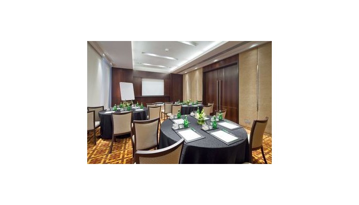 Hotel Holiday Inn Mia poza 10