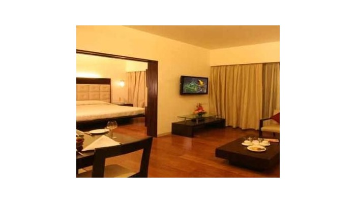 Hotel Krishna Palace poza 10