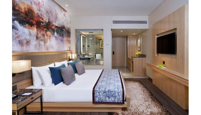 Hotel Radisson Mumbai Andheri Midc poza 6