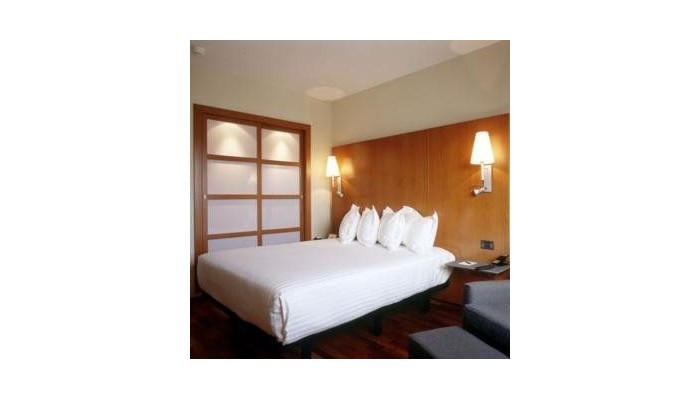 Hotel Ac Murcia poza 5