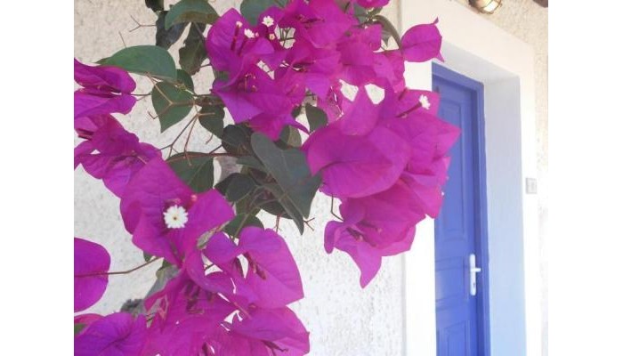 Hotel Paradise poza 4