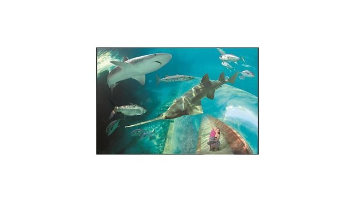 Hotel Atlantis Beach Tower poza 2