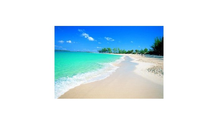 Hotel Atlantis The Reef poza 6