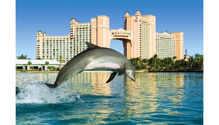 Hotel Comfort Suites Paradise Island poza 8