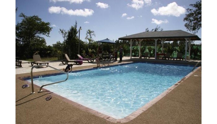 Hotel Red Carpet Inn poza 7