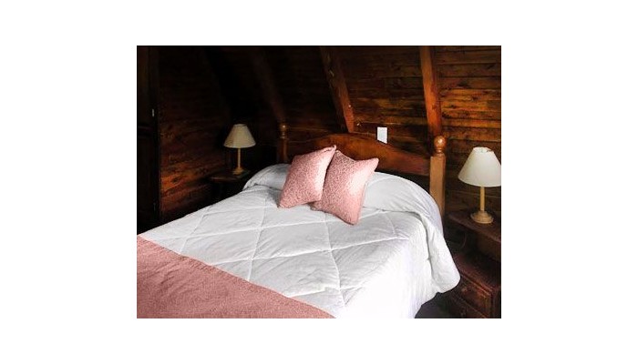 Hotel Cabaa±as Antilhue poza 4