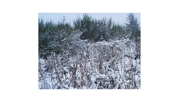 Hotel La Roca De La Patagonia poza 3