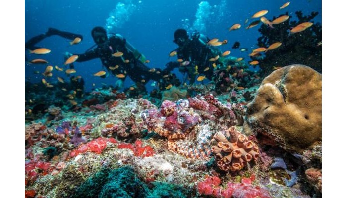 Hotel Robinson Club Noonu poza 23