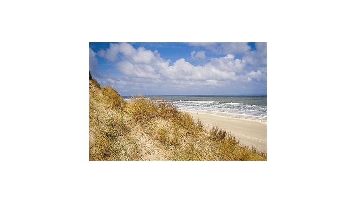 Hotel Golden Tulip Noordwijk Beach poza 7