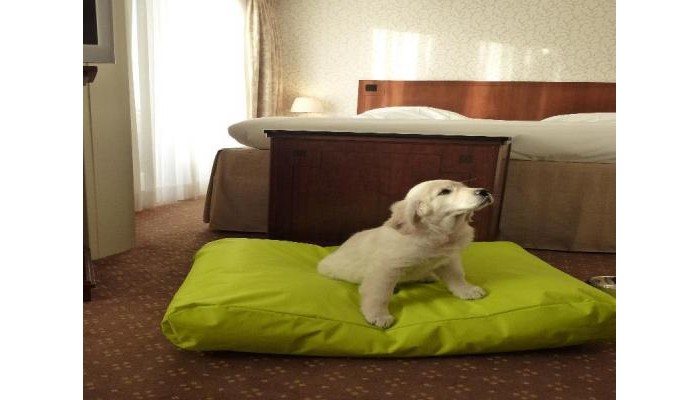 Hotel Radisson Blu Palace poza 3