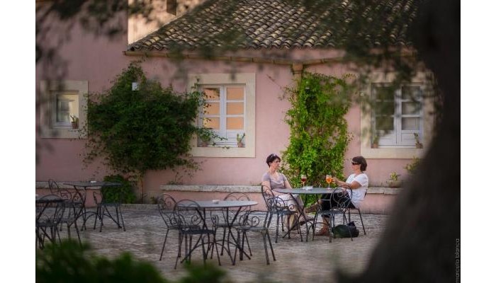 Hotel Masseria Degli Ulivi poza 4