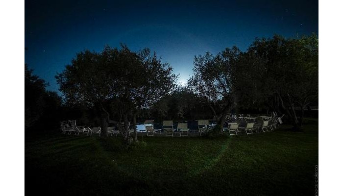 Hotel Masseria Degli Ulivi poza 0