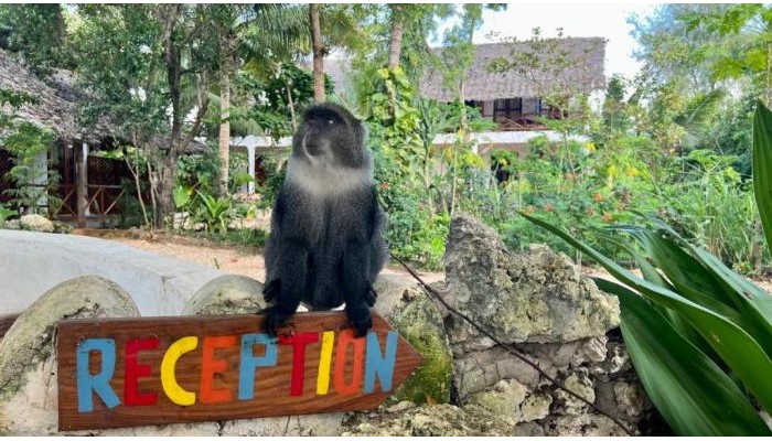 Hotel Atii Garden Bungalows poza 2