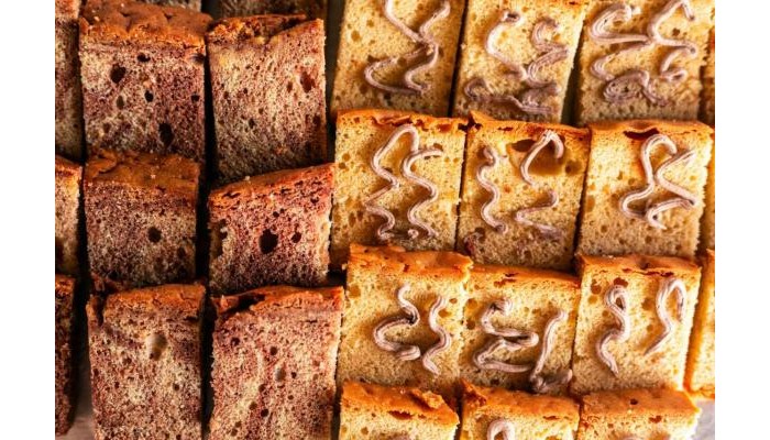 Hotel Canary Golden poza 13