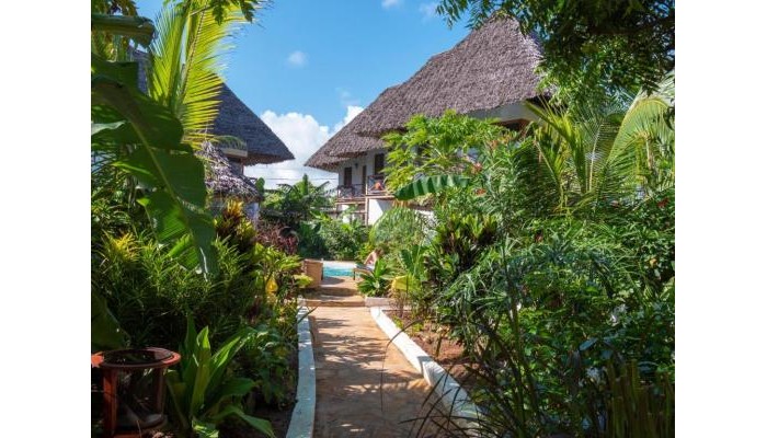 Hotel Maisha Nungwi (Ex Aluna Beach) poza 0