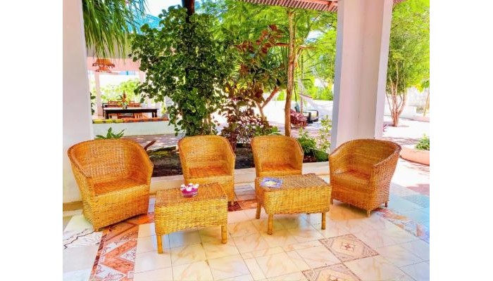 Hotel Papaya Guest House Nungwi poza 13