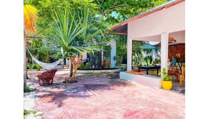 Hotel Papaya Guest House Nungwi poza 14
