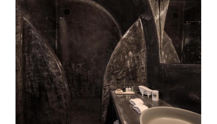 Hotel Andronis Luxury Suites poza 9