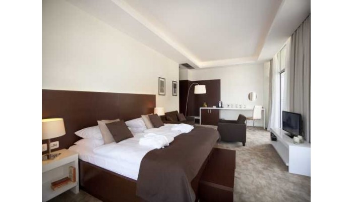 Remisens Premium Hotel Ambasador poza 22