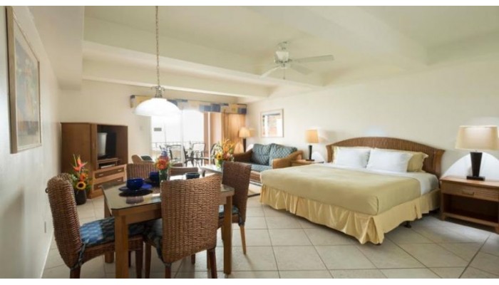 Divi Dutch Village -studio Room Only- poza 2