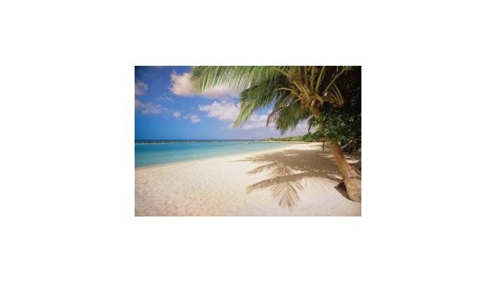 Renaissance Resort & Casino poza 6