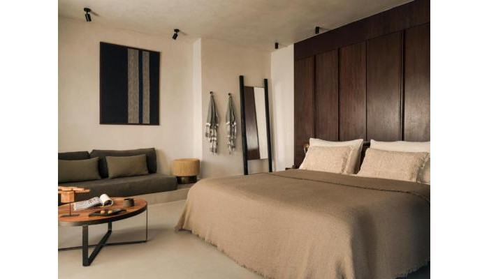 Hotel Ananea Mykonos poza 17