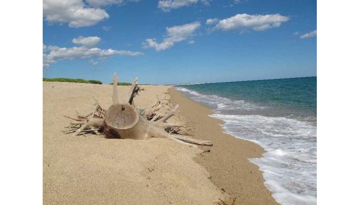 Hotel Baia Marina poza 1