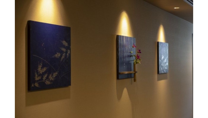 Hotel Dormy Inn Premium Namba Annex Natural Hot Spring poza 0