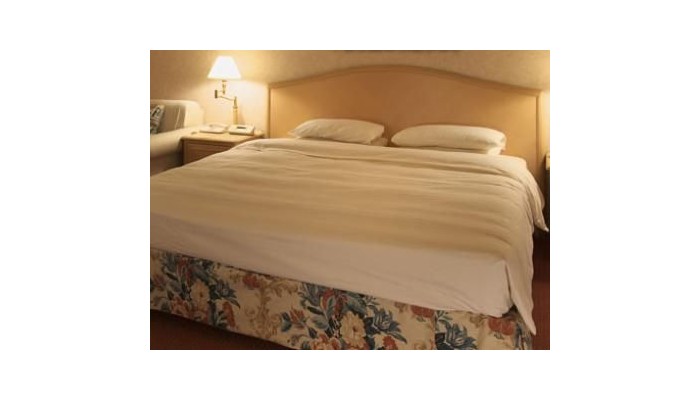 Hotel Namba Oriental poza 3