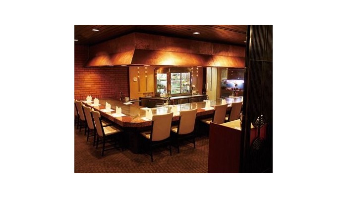 Hotel New Hankyu Osaka poza 11