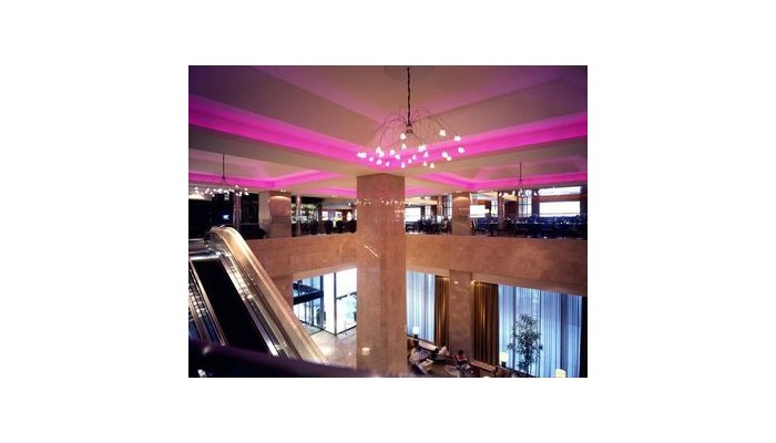 Hotel Sheraton Miyako poza 6