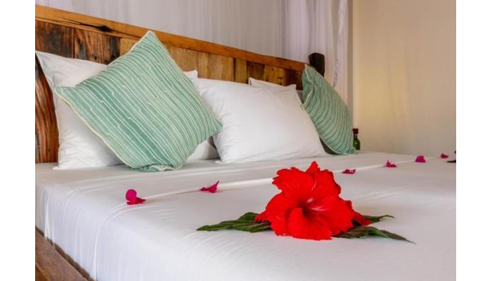 Hotel Aluna Paje poza 4