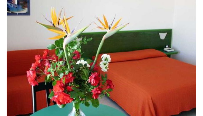 Hotel Piccada poza 0